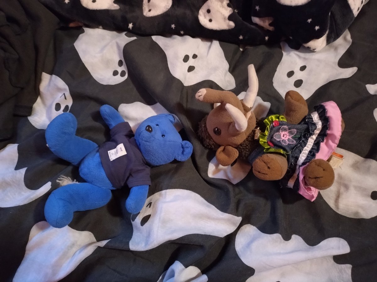 We did A LOT of walking today! #geocaching 5/6, which doesn't seem a lot of the miles we did. But the footpath went right through a heritage railway! We might be broken now... #smallbearadventures