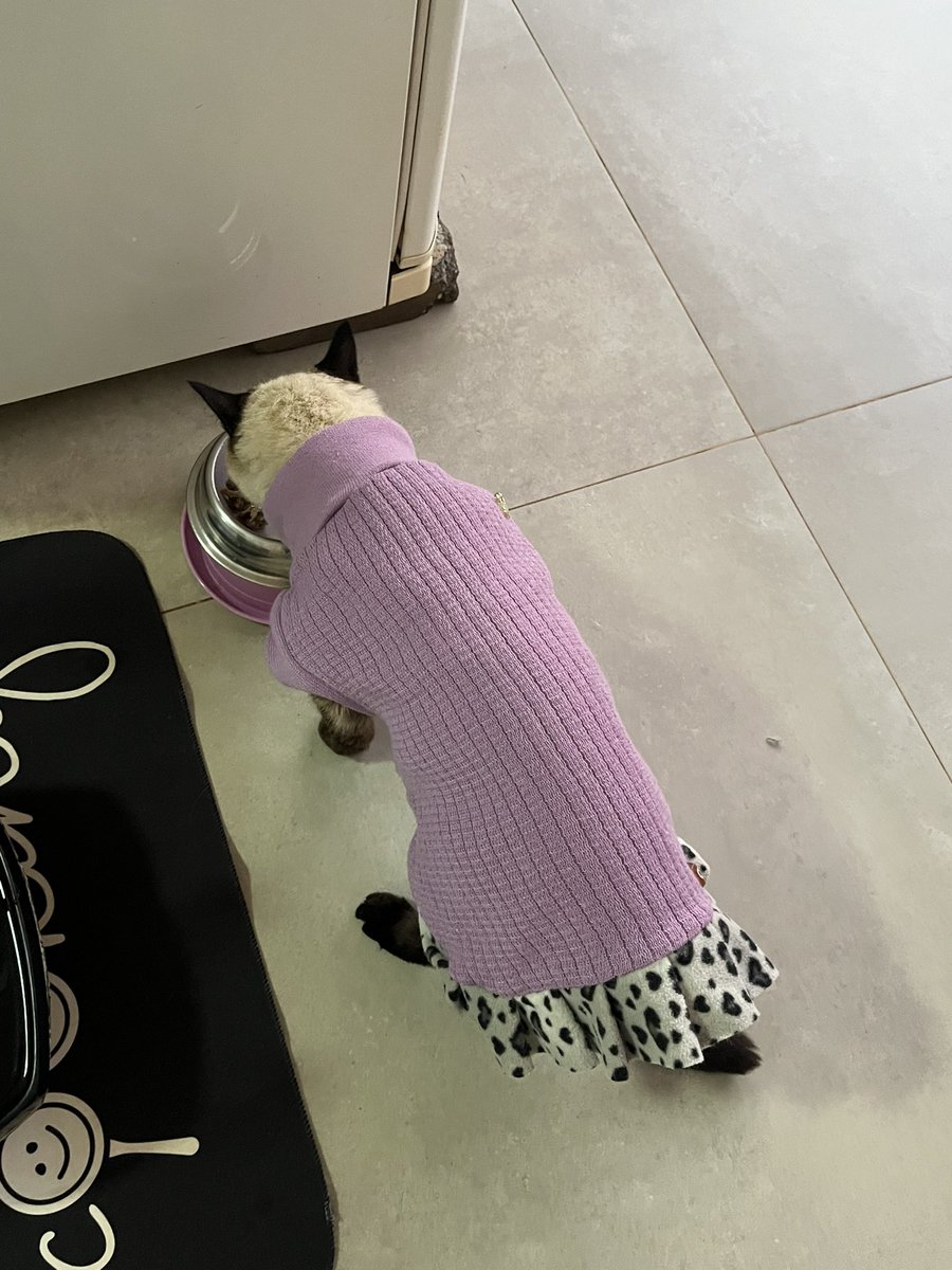 brubinha tweet media