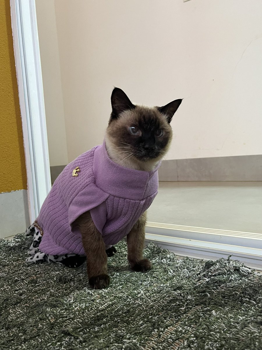 brubinha tweet media