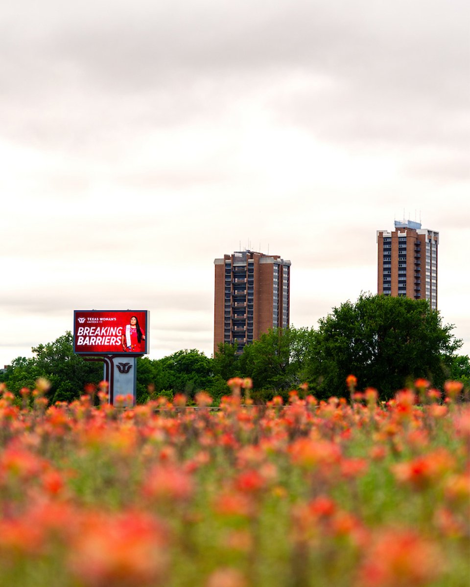 April showers brought May flowers! 🌺🌺🌺🌺