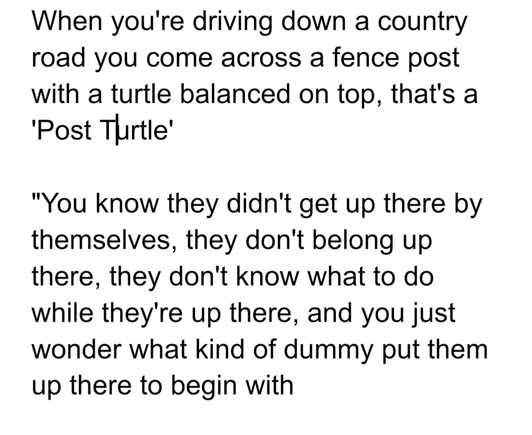 gilltaz's tweet photo. @utb_smith These councillors are post turtles. https://t.co/ewq7Y0ynp0