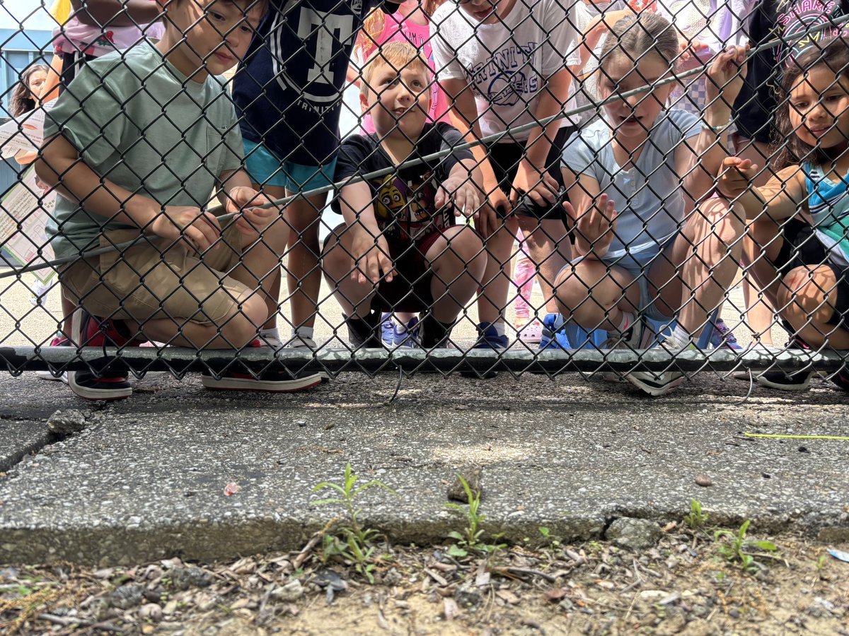 Trinity East Elementary (@trinityeastelem) on Twitter photo When recess in first grade turns to science class!! <a href="/TRINITY_MLUCAS/">Dr. Michael Lucas</a> <a href="/TrinityAreaSD/">Trinity Area School District</a> When recess in first grade turns to science class!! <a href="/TRINITY_MLUCAS/">Dr. Michael Lucas</a> <a href="/TrinityAreaSD/">Trinity Area School District</a>