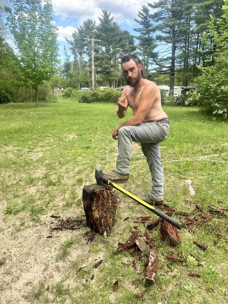 Master Brute tweet media