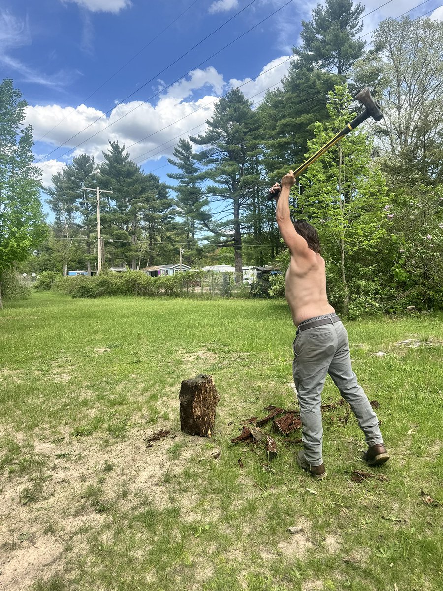 Master Brute tweet media