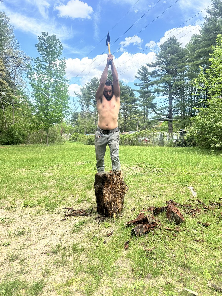 Master Brute tweet media