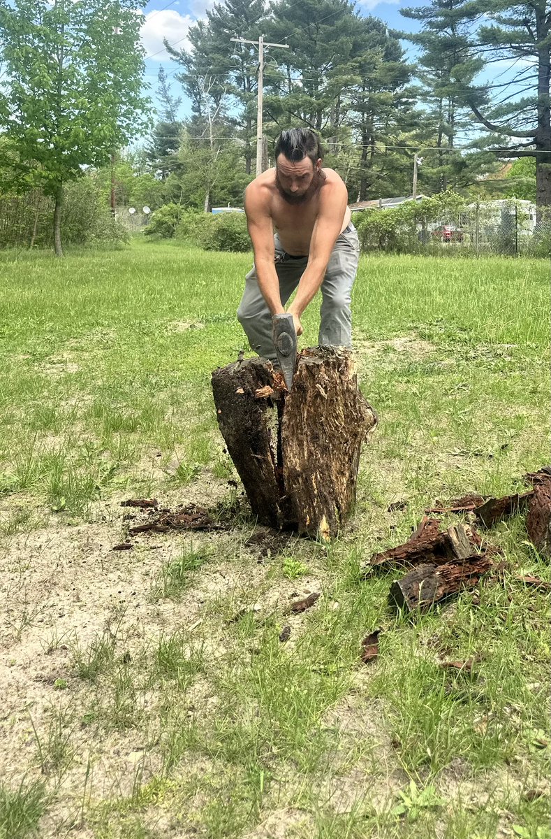 Master Brute tweet media