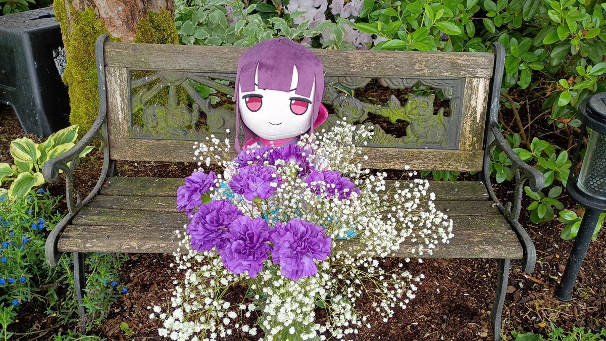 Lando131's tweet image. Look who arrived today! She had nearly escaped her packaging, but luckily she's settled in now and had some fun on the tire swing. I think she approves of Shondo's flowers too; which have lasted remarkably long. #shondophrenic #fallenshadowmerch