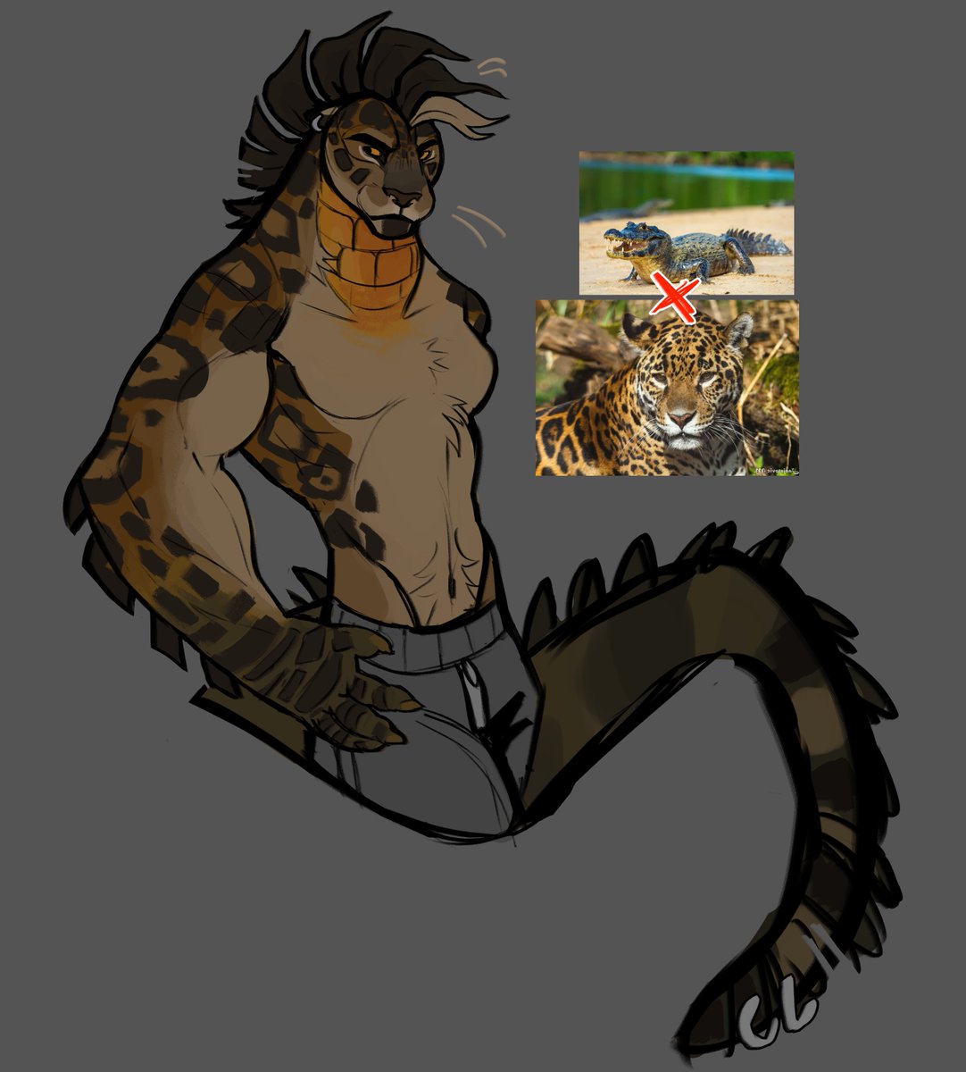 jaguar x alligator 🐊