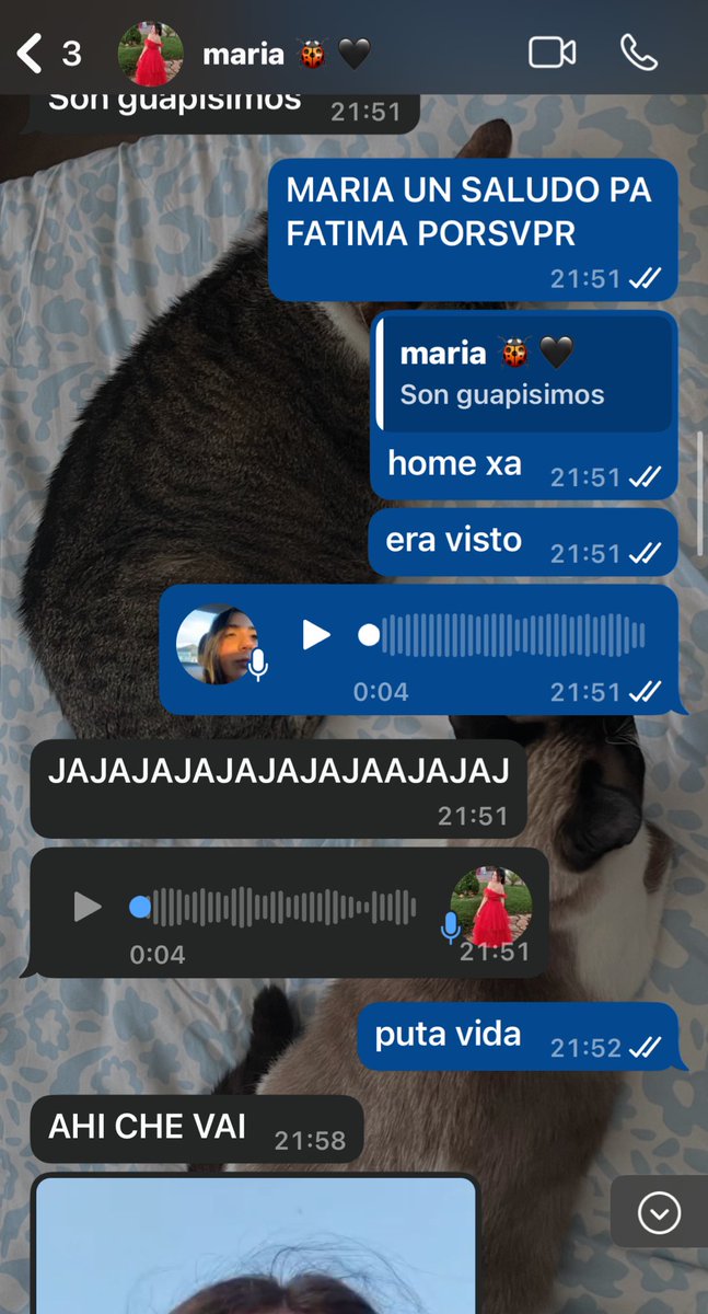 todos necesitades unha maría na vosa vida 🫂