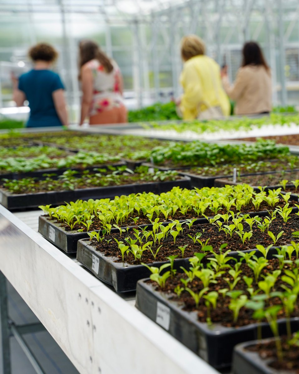 InfiniteErie's tweet image. A huge thank you to everyone who joined us today for a tour of the newly completed Grow Erie facility.
This is just the beginning as we celebrate the first project to graduate from our Playbook.
Stay tuned for the next big operation at Savocchio Park and more from today!