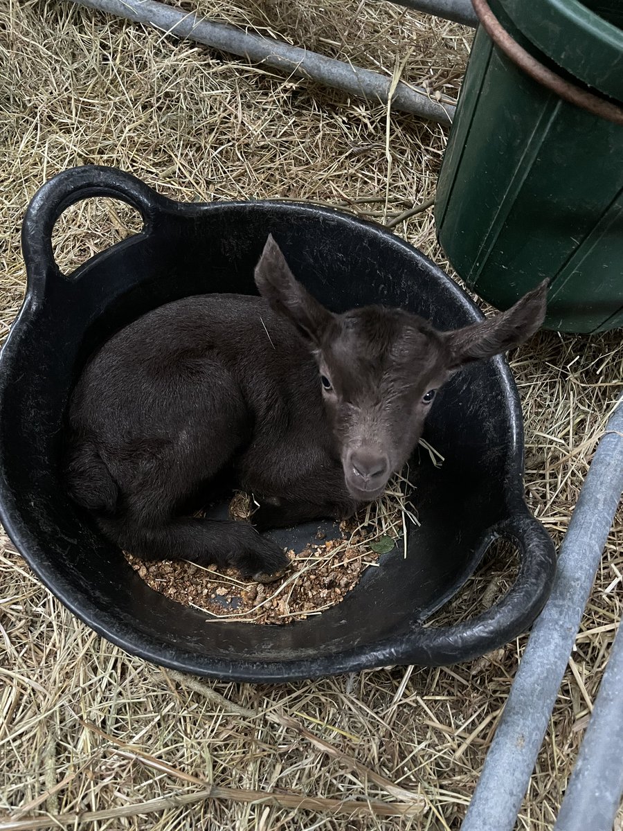 If I fits I sits!
