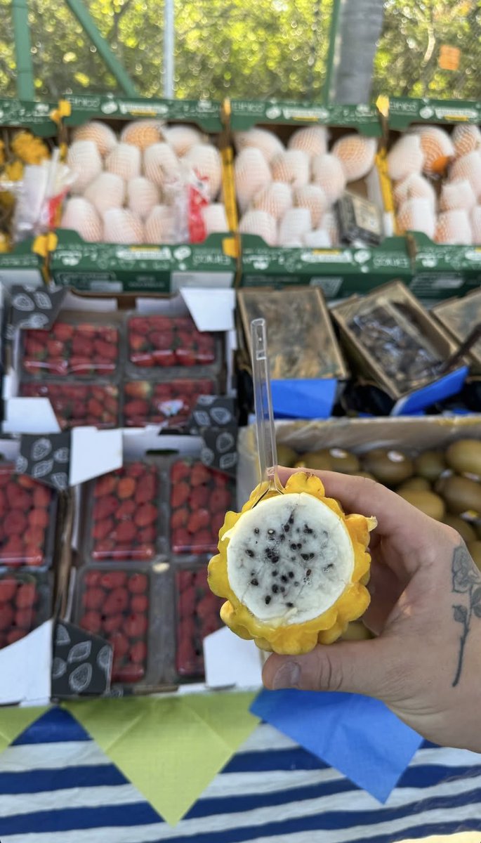 Papais casados fazendo a feira 🫶 
tô vivendo um sonho lindo 🥹🤌🫶🫶