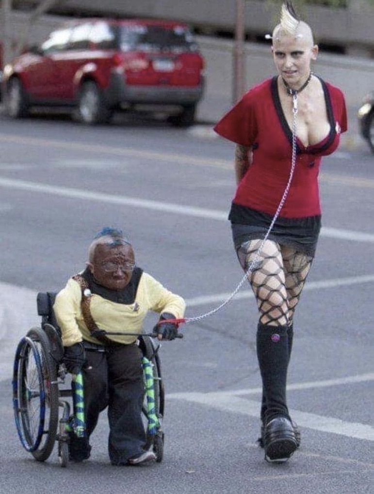 Anti Woke Memes tweet media