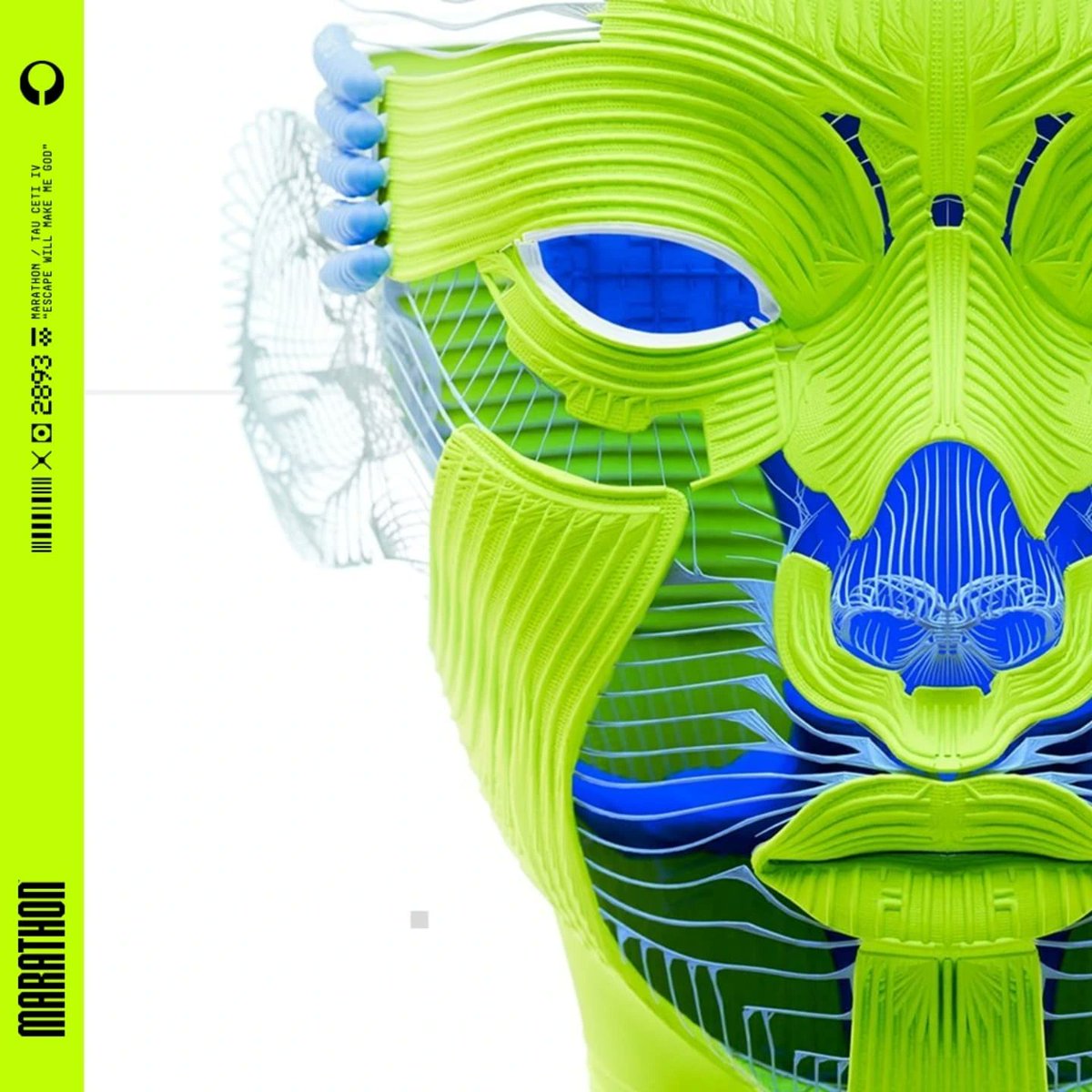 Marathon Bulletin tweet media