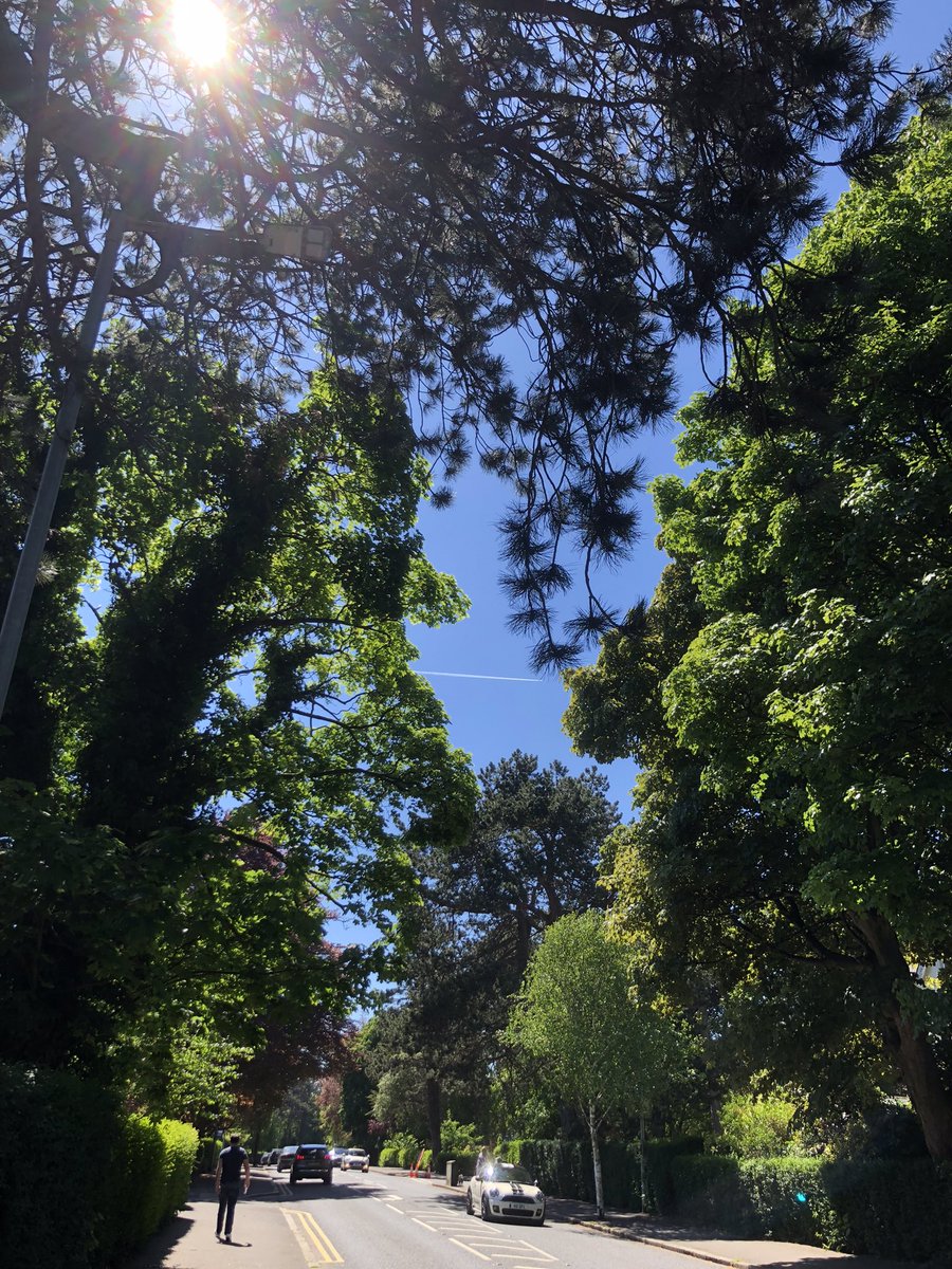 Alanzinhio tweet media