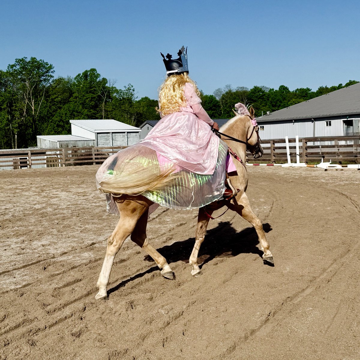 Hooves, manes &amp; family fun—it's all happening this weekend at HorseFest, presented by <a href="/KGCDJRMentor/">Ken Ganley CDJR Mentor</a>! 🐴 This event is your chance to experience the thrill, beauty and power of horses up close with character riding demos, horse meet-and-greets, kids' activities and so much more.