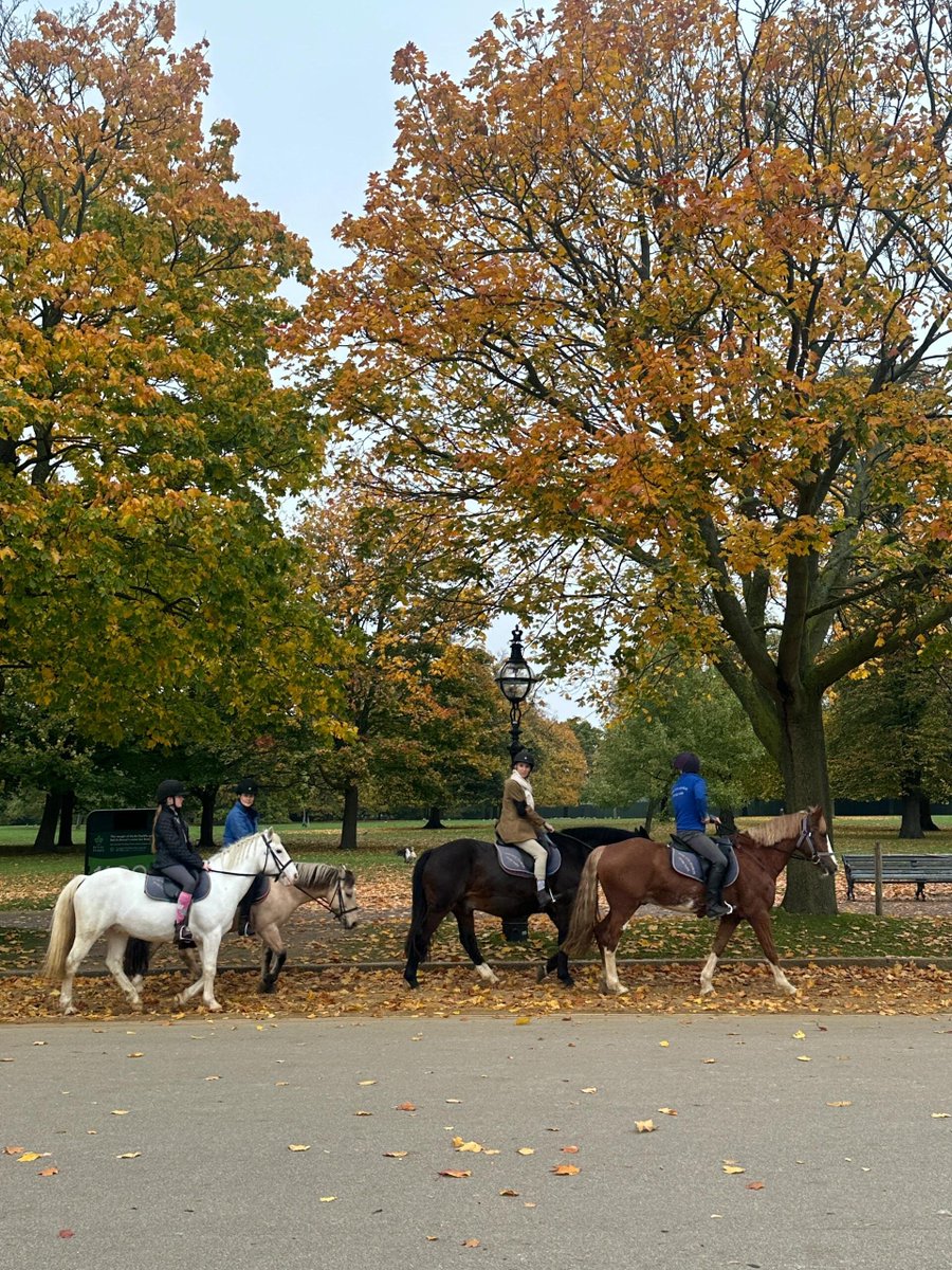 Morning in Hyde Park #london #londoncity #explorelondon #england #visitlondon #westminster #Uk #londonbylondoners🍂        📷&lt;❤️