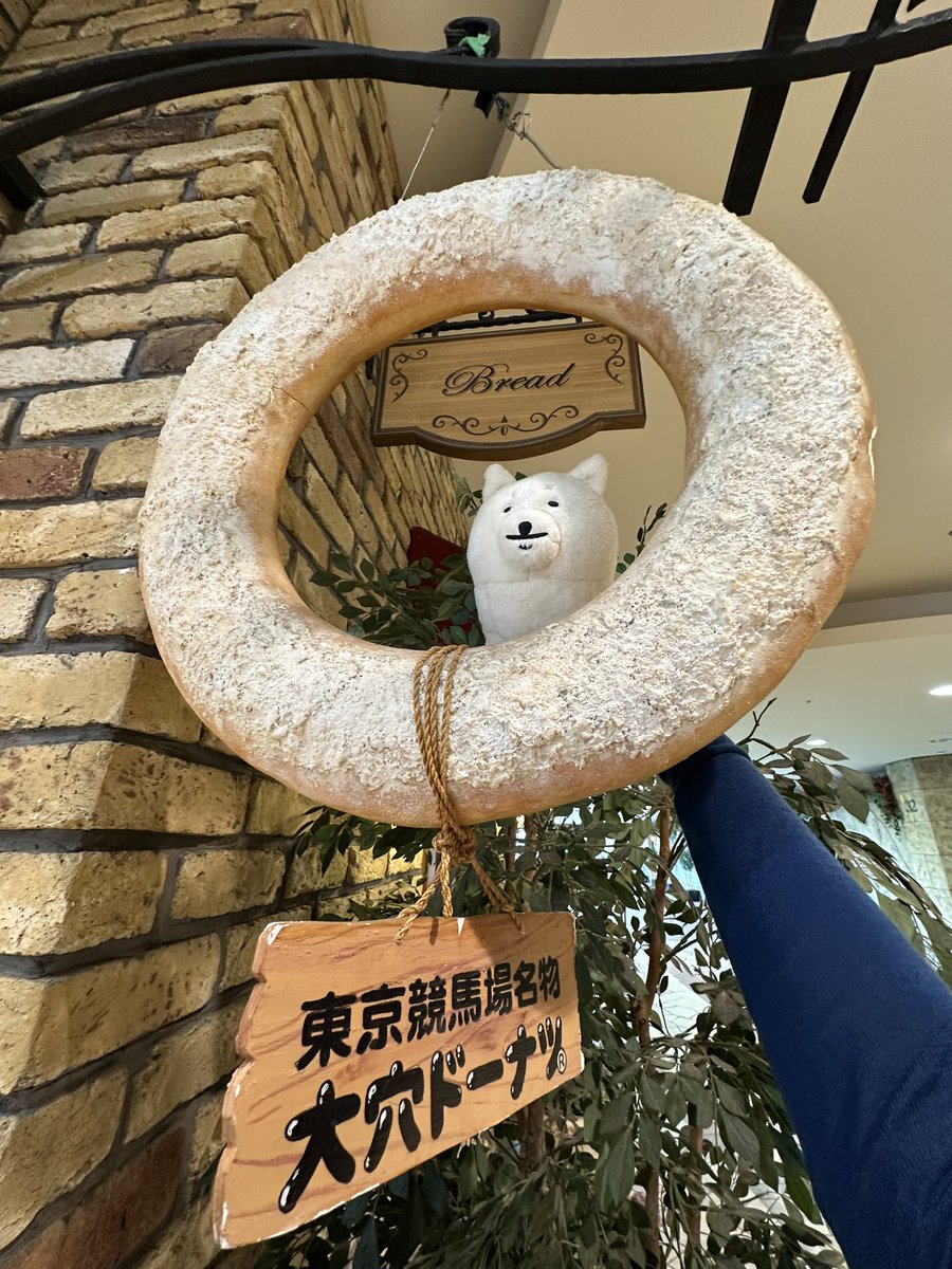 shiro_op's tweet image. 大型犬
大穴ドーナツ