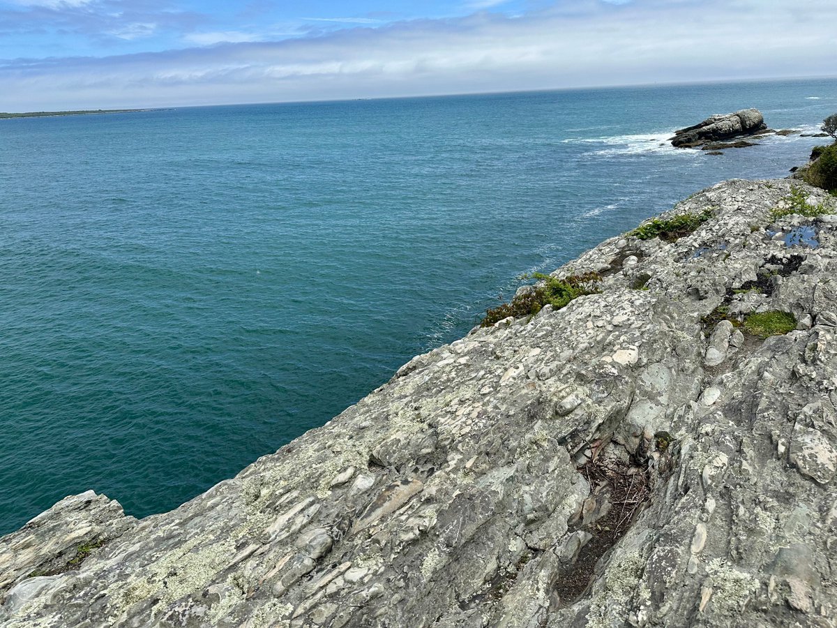 gregorygteves's tweet photo. Coastal Textures
#Photography
#NaturePhotography
#TexturePhotography
#OutdoorPhotography
#VisualPoetry
#PhotographicArt
#MinimalNature
#StillLifeNature
#OrganicShapes
#EarthTextures
#NaturalComposition
#FoundTextures
#Eastcoastkin https://t.co/kY76IUZyaa