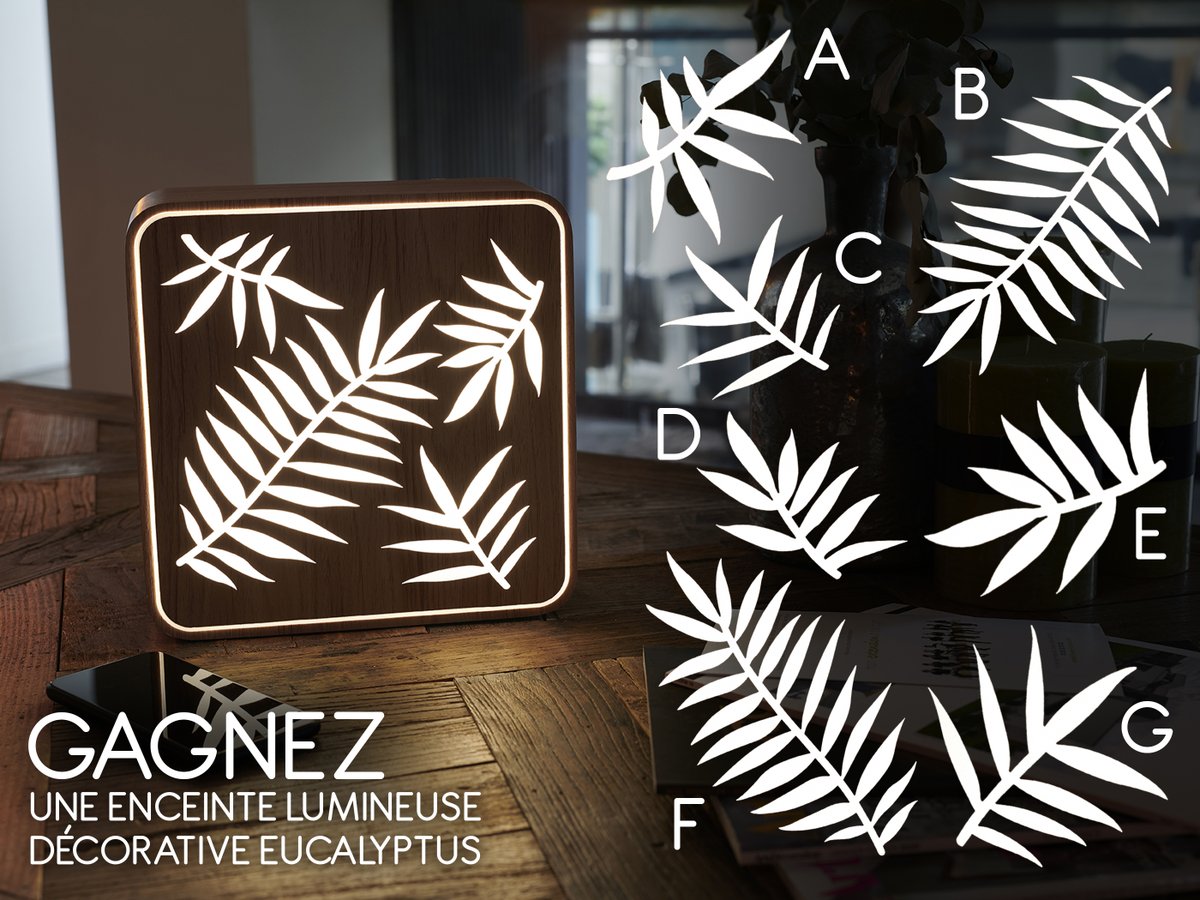 BigbenFrance's tweet photo. Très belle enceinte décorative lumineuse pour profiter de vos musiques en Bluetooth ! 🔊 Grâce à l'application Colorlight, réglez l'intensité lumineuse et le volume sonore, avant de profiter du résultat "sons et lumière" ! 🥰

Pour tenter de gagner une enceinte lumineuse décorative Eucalyptus :
🌿 Abonnez-vous à @BigbenFrance
🌿 Quel dessin ne se retrouve pas sur l'enceinte lumineuse ?

TAS le 23.05.25 (AUCUN gagnant désigné avant cette date 😉)

 #JeuConcours #EnceinteLumineuse #CBLNEONINLEAVESL #Bigben

Jeu ouvert aux résidents en France métropolitaine