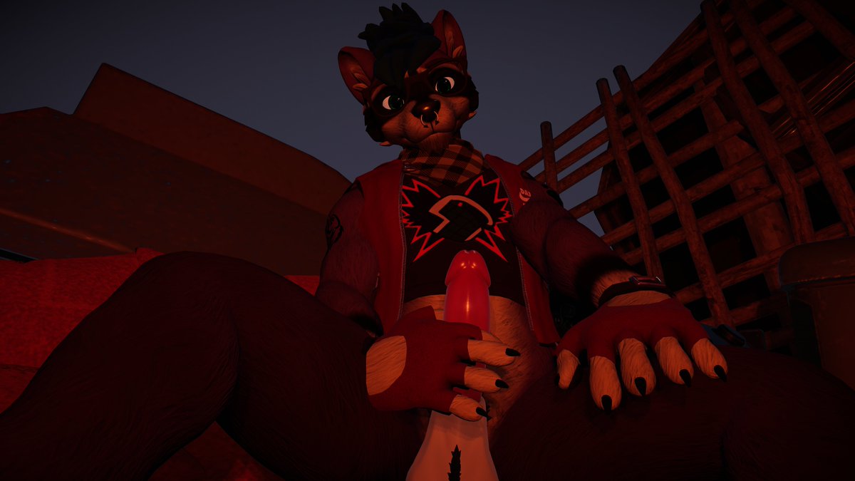 Badboydaxx's tweet photo. We go for a camping trip and he gives you that look... you look away and see this next.. what do you do? https://t.co/48JbMOlnJY
