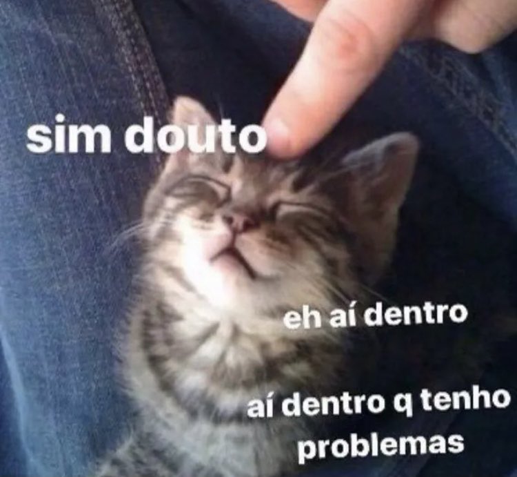 Abo rrecido tweet media