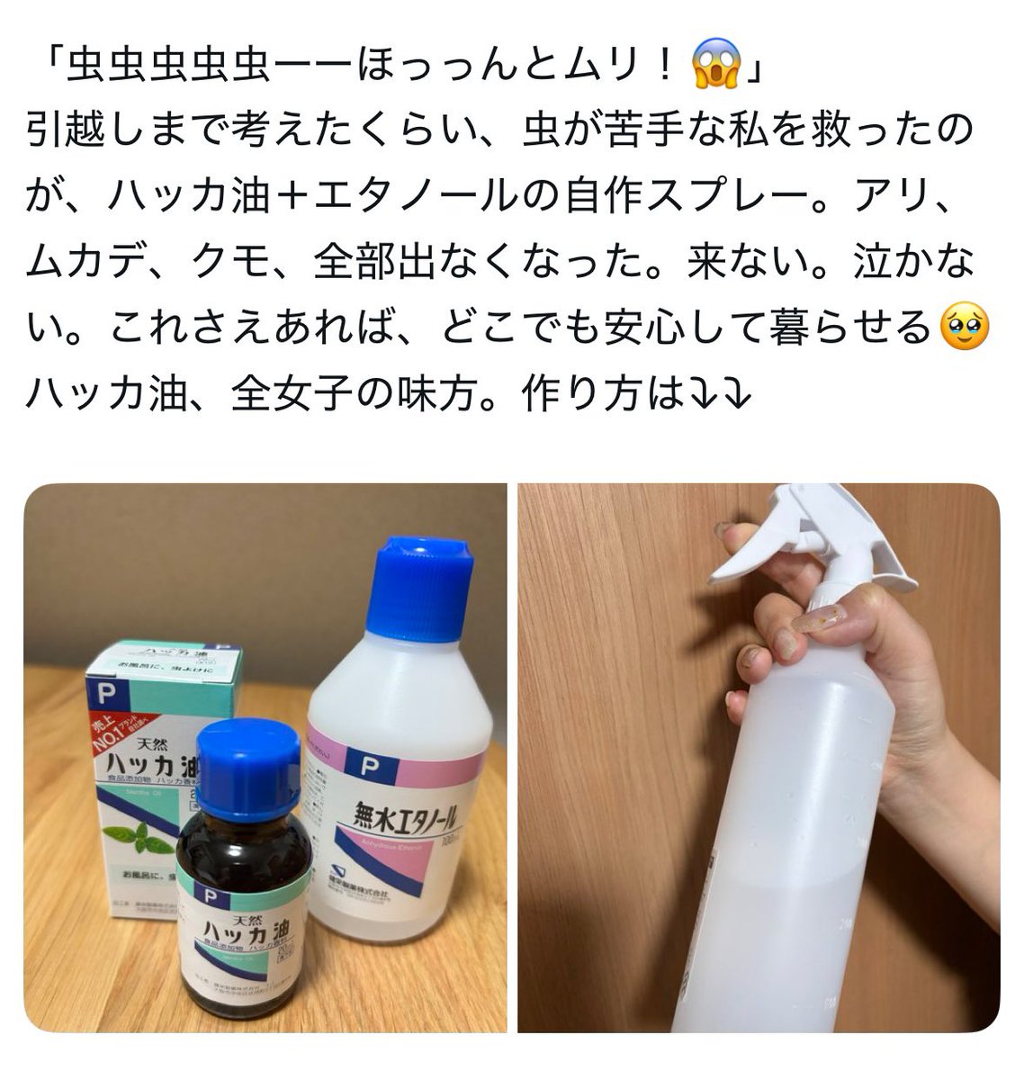pikari05011209's tweet photo. 虫で毎年情緒崩壊してた私、今年も勝った。ハッカ油×エタノール、全女子の盾。※ペットはNG！ https://t.co/5INu0mPnWh