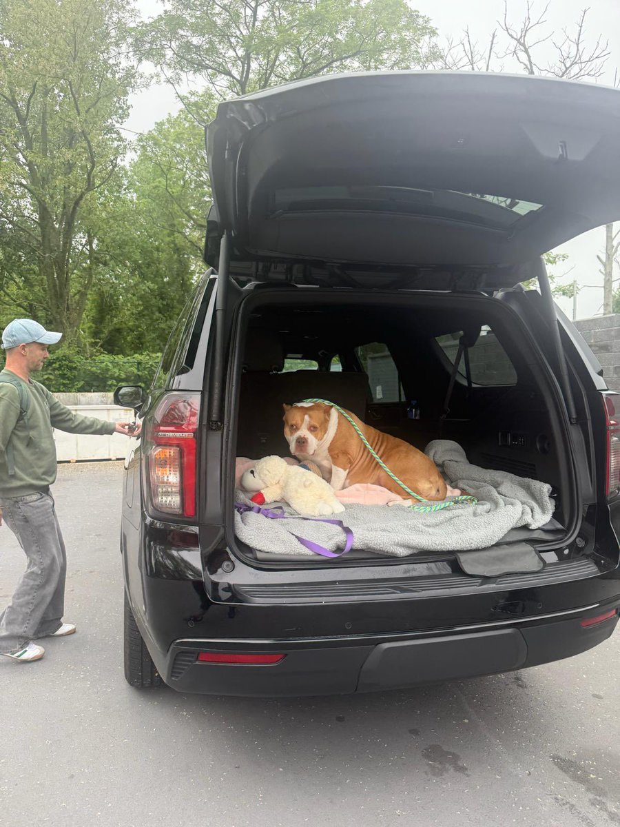 Niall Harbison tweet media