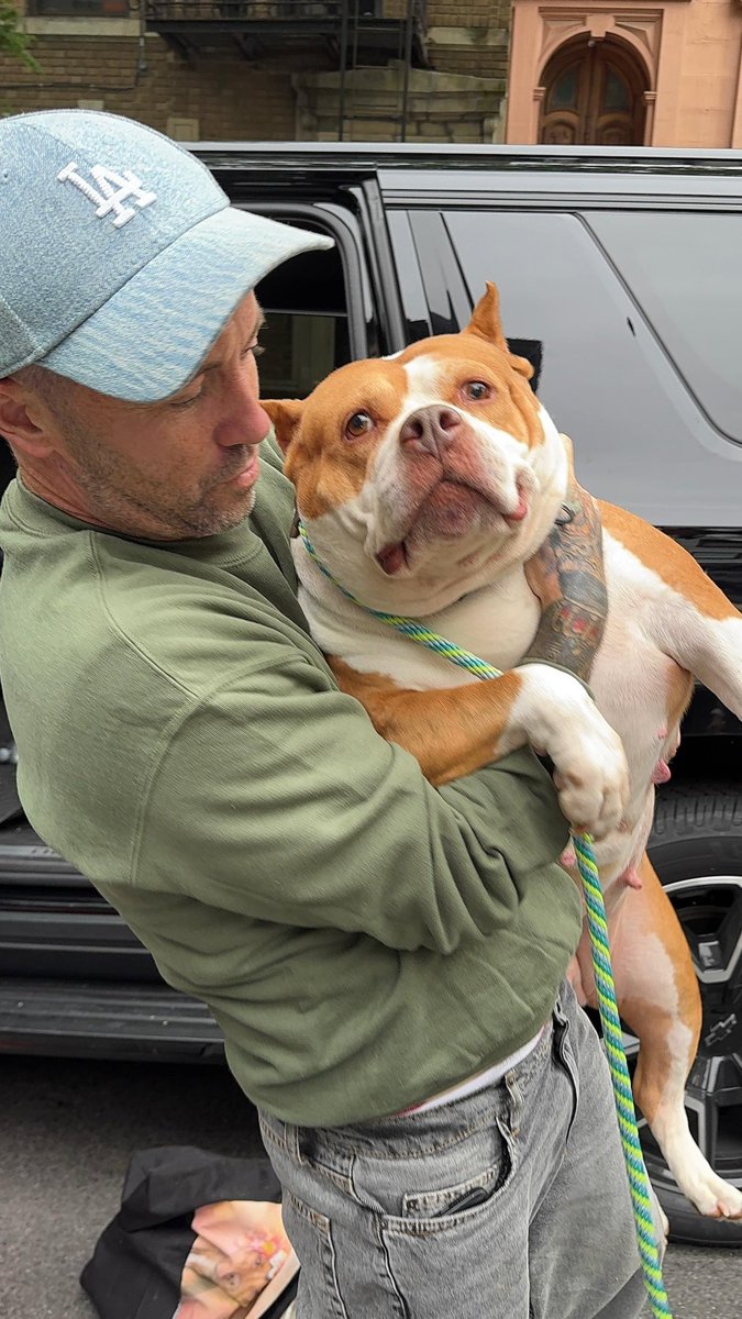 Niall Harbison tweet media