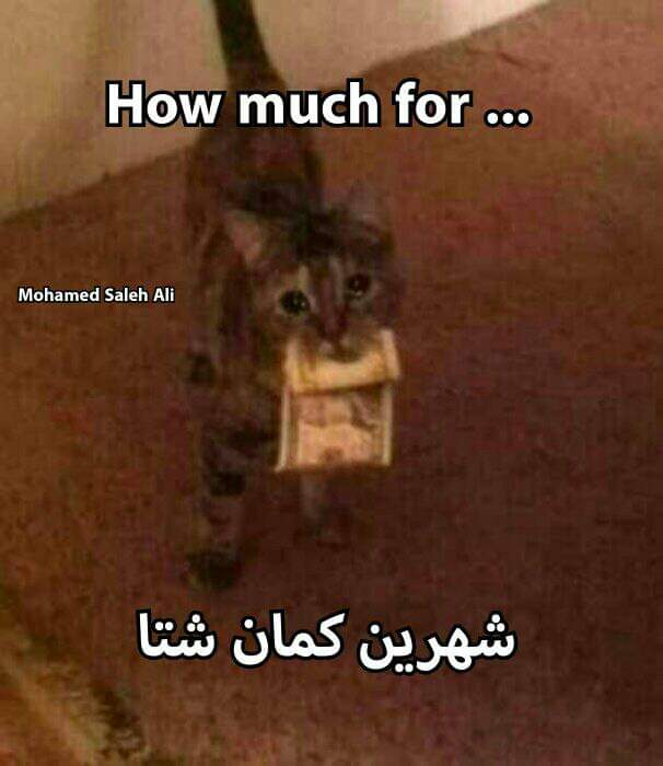 True Memes (@truememes_) on Twitter photo 