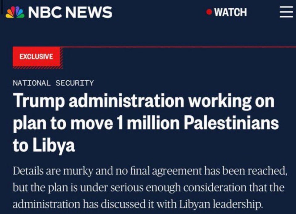 Vivid.🇮🇱 tweet media