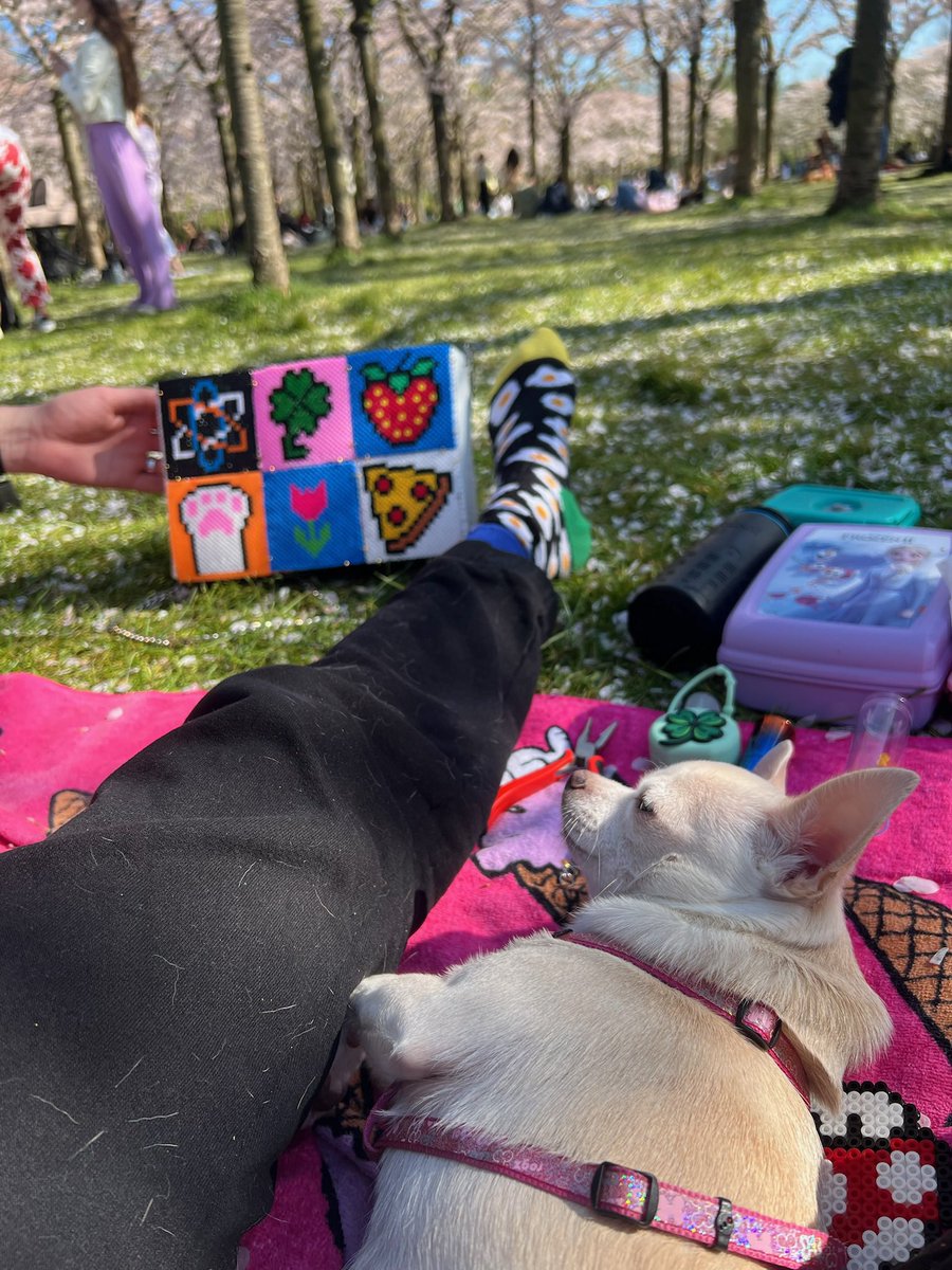amanda90real's tweet photo. #happybag 🌈😍
ONLINE SHOP ➡️ Link na BIO!
_
#colorful #bag #pets #pizza #tulip #flower #strawberry #goodluck #nature #colors #happy #fun #pixelart #ecofriendly #ecofriendlybeads #craftsbeads #hamabeads #nabbi #hama #playboxofsweden #perler #handmade #art #amsterdam #netherlands https://t.co/ExCLJMIv1w