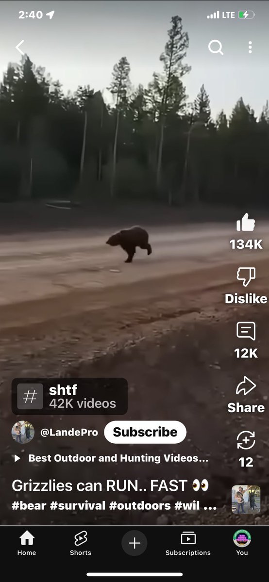 Neuroweaponsex's tweet photo. Grizzlies can RUN.. FAST 👀 #bear #survival #outdoors #wildlife #natureis... https://t.co/3acz1Gcvvq via @YouTube https://t.co/rIY6ZOHmWM