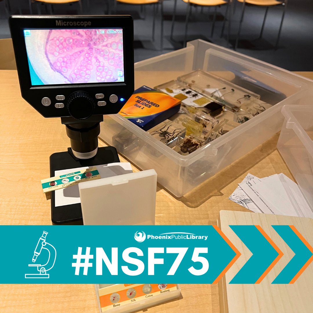 PhxLibrary's tweet image. 🌱🔬 Science is Everywhere — Even at Your Library! On May 10th, we celebrated the 75th anniversary of the NSF with Citizen Science 101. Families got hands-on with Alzheimer’s research games, microscopes &amp;amp; more! #CitizenScience #PhxLibrary #NSF75 #SciStarter #STEMFun