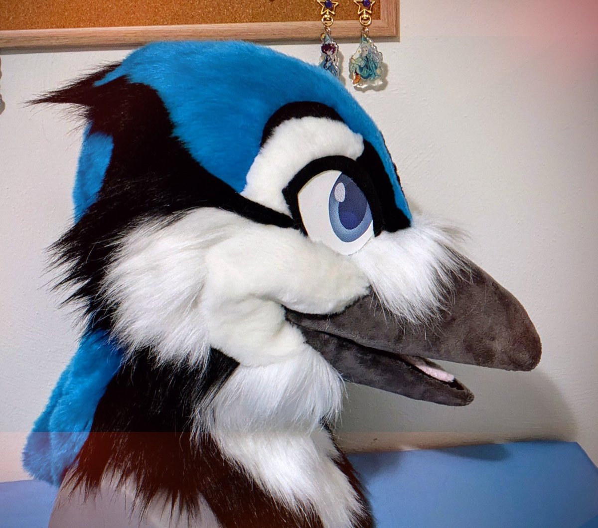 ✨Full Moon Special✨ (@fullmoonspecial) on Twitter photo Happy #fursuitfriday ! 
Posting a little peak at the Bluejay commission! 💙
#fursuit
#furryart Happy #fursuitfriday ! 
Posting a little peak at the Bluejay commission! 💙
#fursuit
#furryart