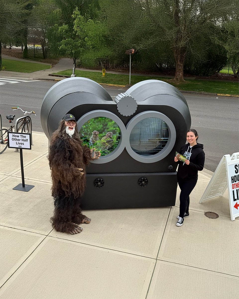 peta's tweet photo. Oregon’s real monster? It’s not Sasquatch—it’s the @OHSUNews primate center, where 5,000 monkeys are locked in labs. Our 'How the Other Half Lives' giant binocular installation hit the capitol so lawmakers couldn’t look away 👀 https://t.co/9UPilx2d0K