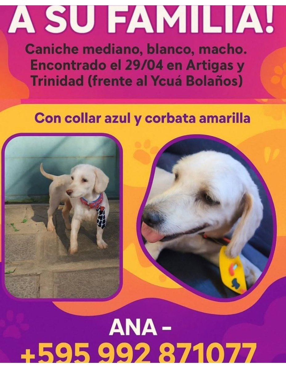 Atención zona Av Artigas  y Av Stma. Trinidad,  por favor RT hasta llegar a su Familia