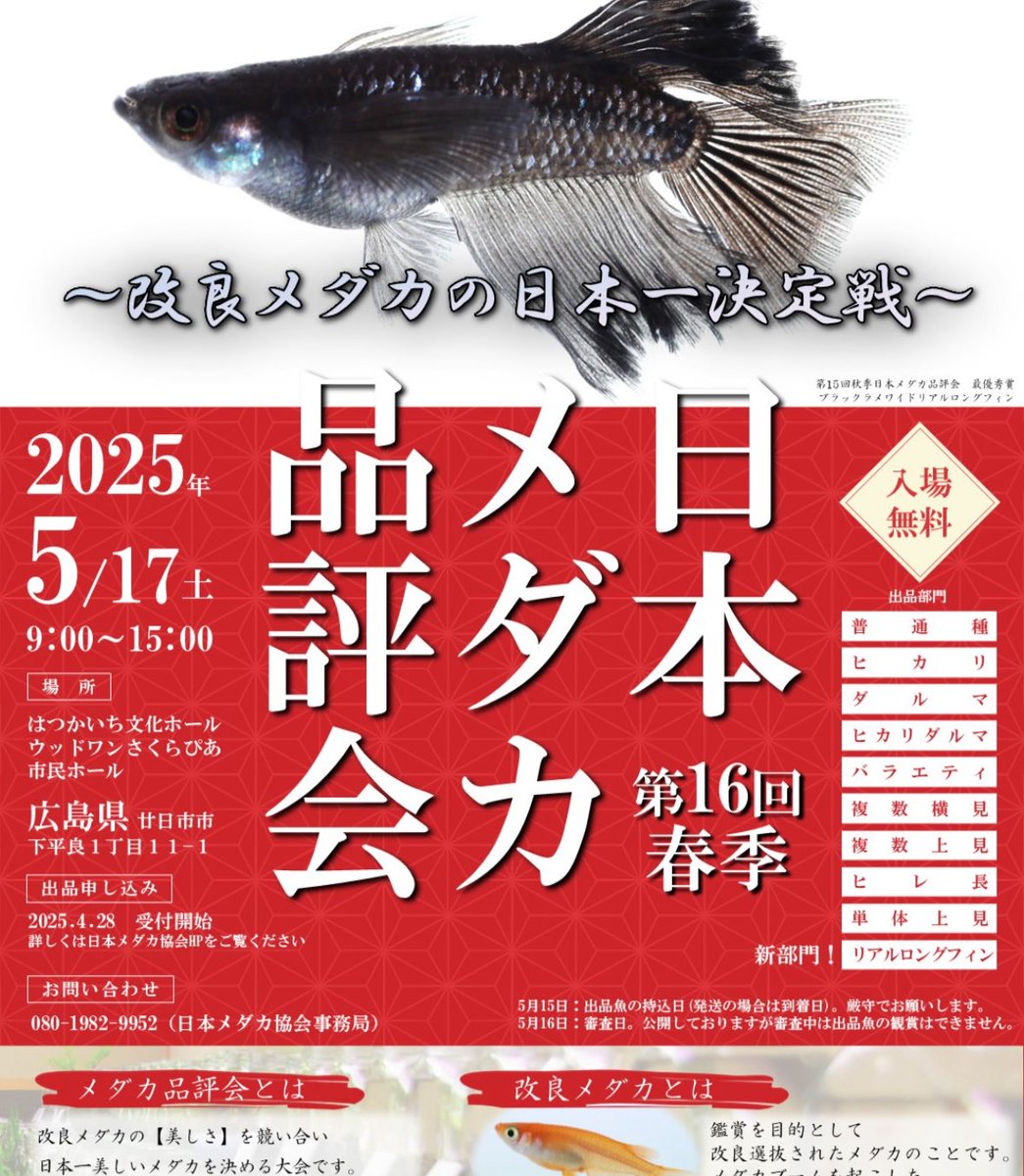 JMA】日本メダカ協会【公式】 (@MedakaJma) / Posts / X