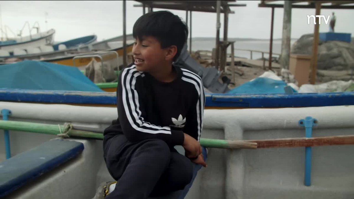 Somos los niños: Ariki lucha contra la contaminación en Punta de Choros

Ariki Ramos, quien vive junto a su familia en La Serena, lucha para evitar la contaminación, por lo que incentiva a sus familiares y amigos a limpiar cada rincón del medio ambiente.👇
tvn.cl/ntv/somos-los-…