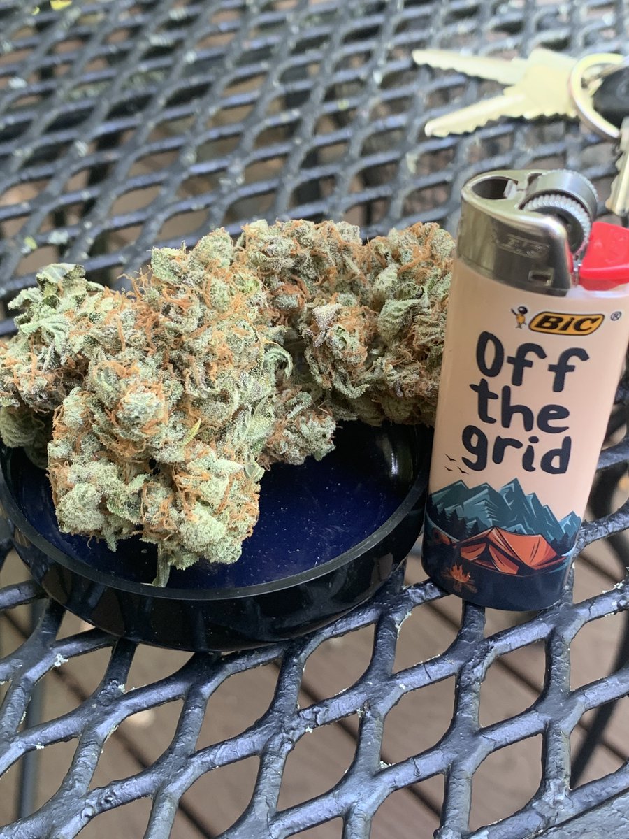 Ohio Grows Organic (@growsohio) on Twitter photo Another autoflower that I love…. Leathery with hints of sour fruit candy. Very robust, this is the Granite Runtz by <a href="/Speedrunseeds/">SpeedRunSeeds</a> grown organically by me!! Let’s grow baby!!! Another autoflower that I love…. Leathery with hints of sour fruit candy. Very robust, this is the Granite Runtz by <a href="/Speedrunseeds/">SpeedRunSeeds</a> grown organically by me!! Let’s grow baby!!!