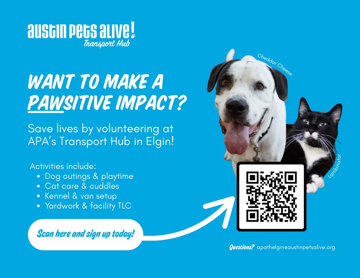 Austin Pets Alive is seeking volunteers. Students and adults are encouraged to consider this opportunity. 

Open House is scheduled for Sunday, May 18, from 1pm - 3pm at their 929 Old McDade Rd. facility. 

Sign up here: bit.ly/459c7CY