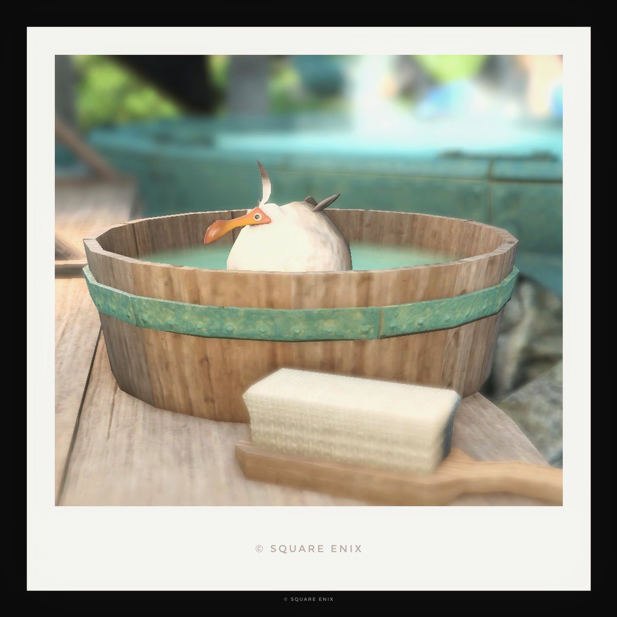 ♨️🦤
#おはドド