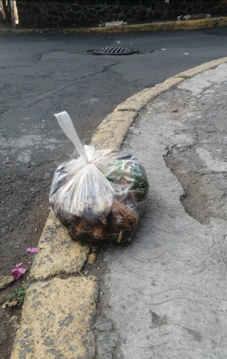 Rituales de Santería (increíble la ignorancia de quienes llevan a cabo éstas prácticas) Sta Ursula Xitla, esa bolsa con restos de animales lleva varios días en Limantitla esquina Galeana 😡 <a href="/TlalpanVecinos/">Tlalpan Vecinos</a> <a href="/dgfuentess/">David Gutiérrez F</a> <a href="/ColoniaSUX/">Colonia Sta Úrsula Xitla</a>  <a href="/TlalpanAl/">Alcaldía Tlalpan</a> <a href="/guerisilla8/">Prettymex</a> <a href="/guagu0919/">Mónica Villalobos 🖤</a> <a href="/PROFEPA_Mx/">PROFEPA</a>