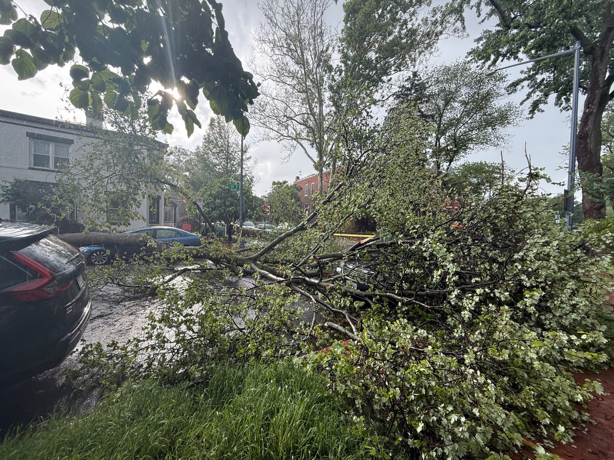 Ash Marshall tweet media