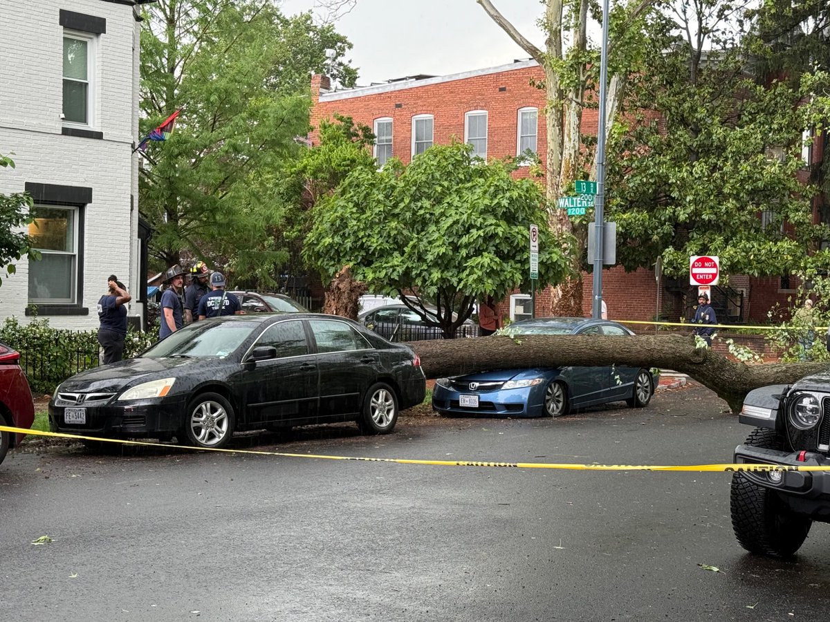 Ash Marshall tweet media