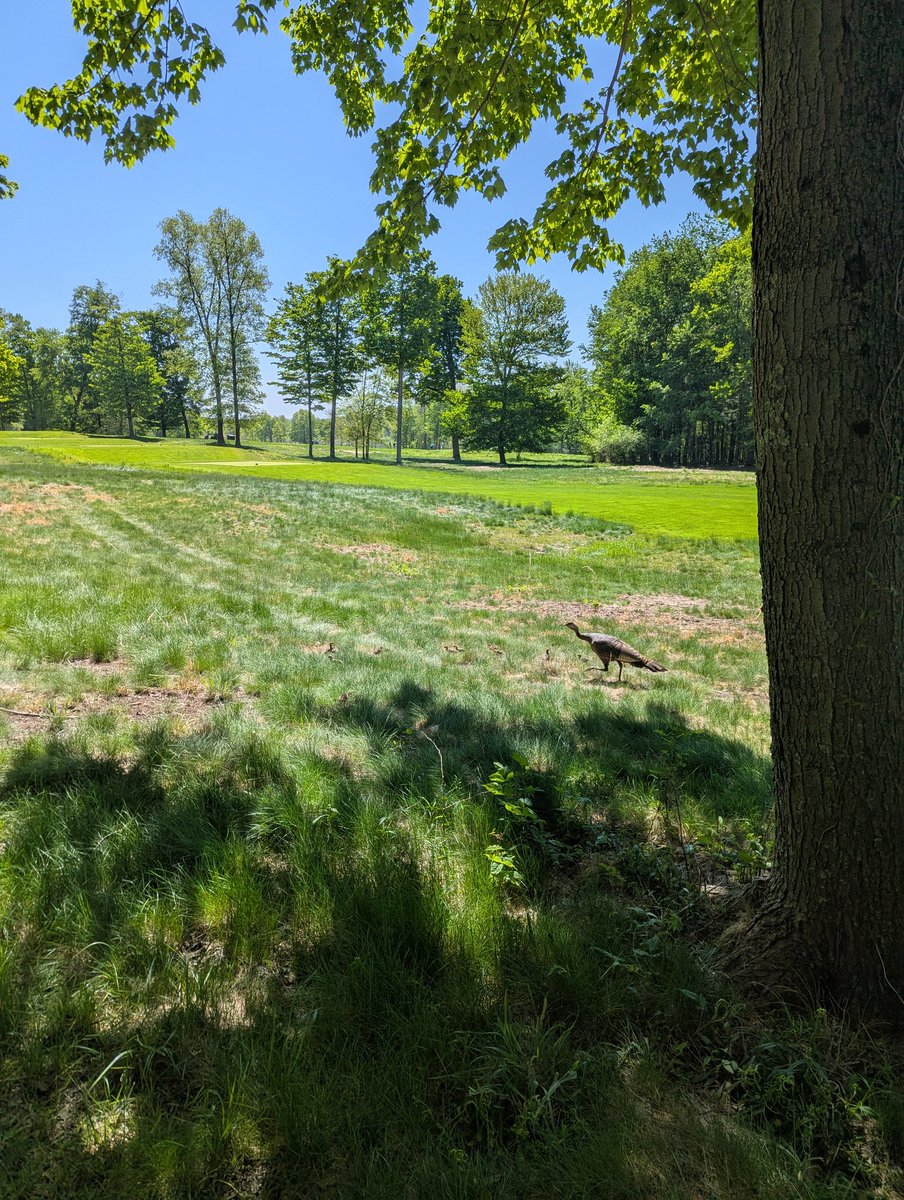 Friday at Sand Ridge <a href="/TheMayfieldSR/">The Mayfield Sand Ridge Club</a>