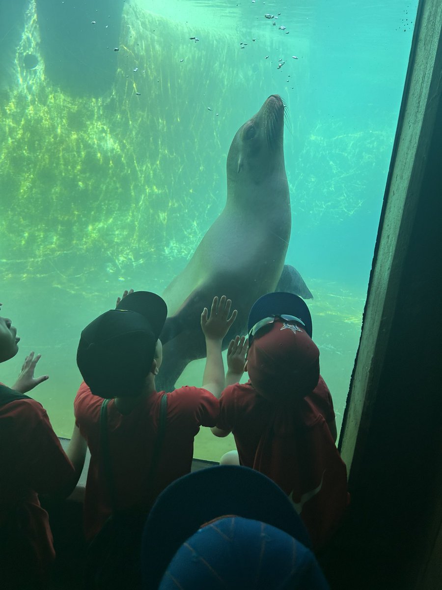 D61Press's tweet photo. Zoo Field Trip https://t.co/NXmovRL5Ap