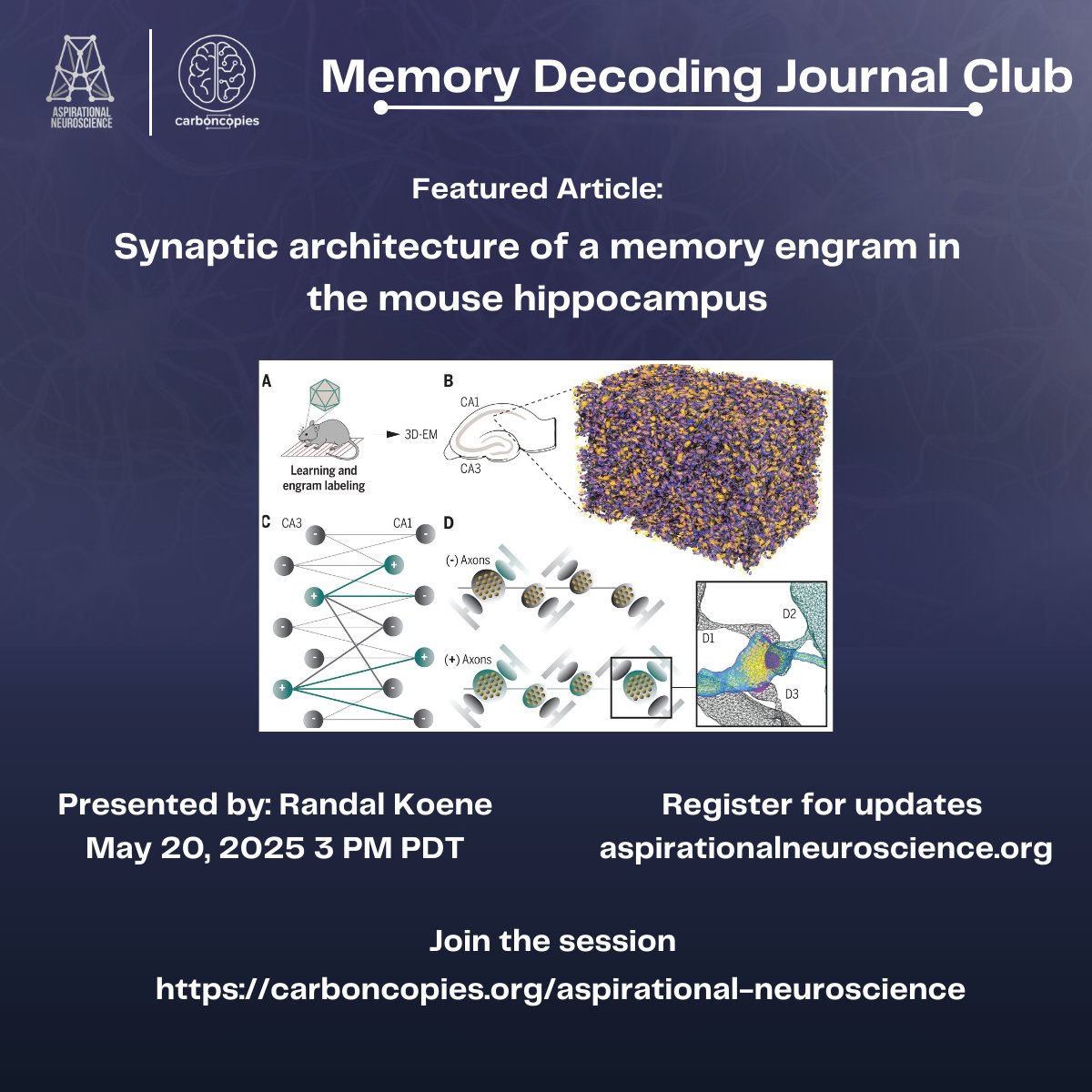 Join Us for the Memory Decoding Journal Club! "Synaptic architecture of a memory engram in the mouse hippocampus" carboncopies.org/Events/Journal… #MemoryResearch #Hippocampus #JournalClub #BrainScience #Carboncopies #AspirationalNeuroscience