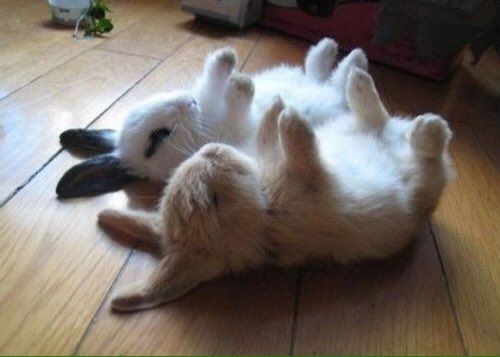 SherlockOlmo's tweet photo. MOMENTO GIALLISTA
Fingetevi morti

#quartogrado https://t.co/c5GLqwXEQ8