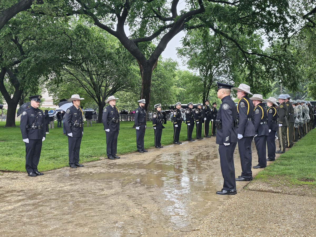 Arcadia PD tweet media